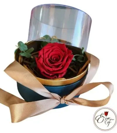 Rosa eterna en caja acrílica