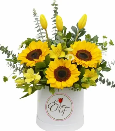 caja girasolesy tulipan