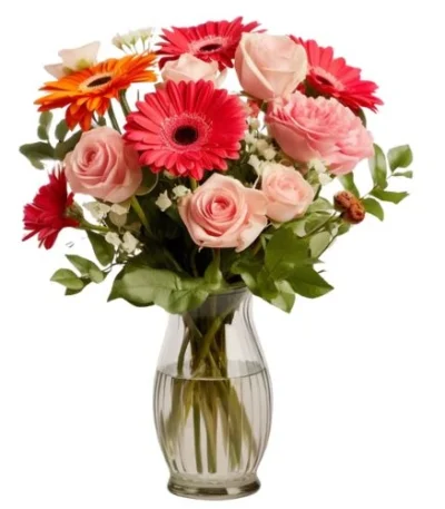 Gerberas Felices