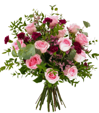 rosas rosadas y eucalipto