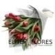 Ramo 10 tulipanes rojos