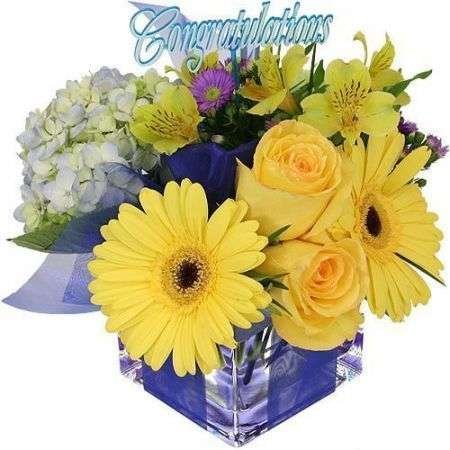 ¡Felicidades!