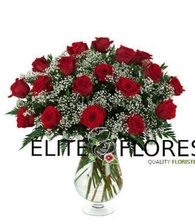 18 Rosa roja