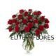 22 Rosa roja