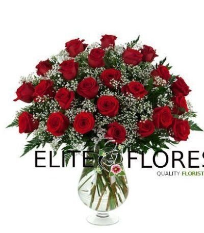 24 Rosa roja