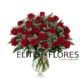 24 Rosa roja