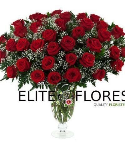 36 Rosa roja