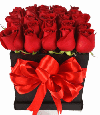 Caja con 24 rosas, "flores a domicilio"