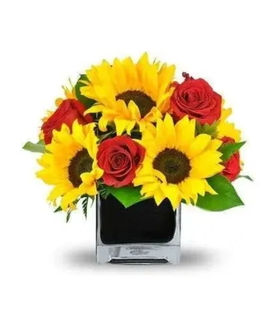 Girasoles Sonrisa