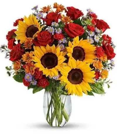Gold Rosa y Girasol