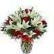 Navidad Alegre