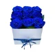 Caja 9 rosas azules