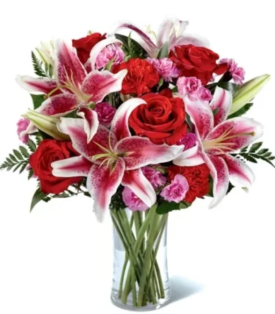 Romance Amoroso