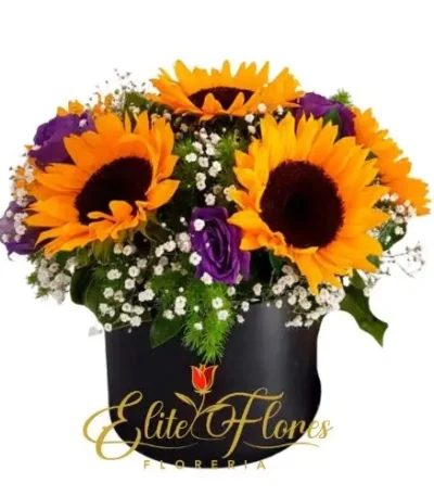 cilindro-girasol