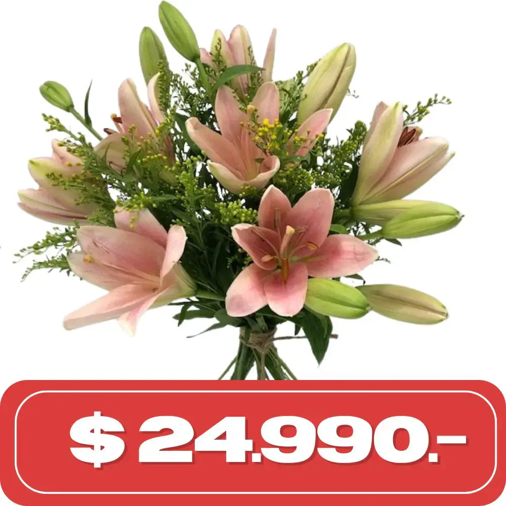 Plan Semanal Ramo de 6 lilium Asiaticos