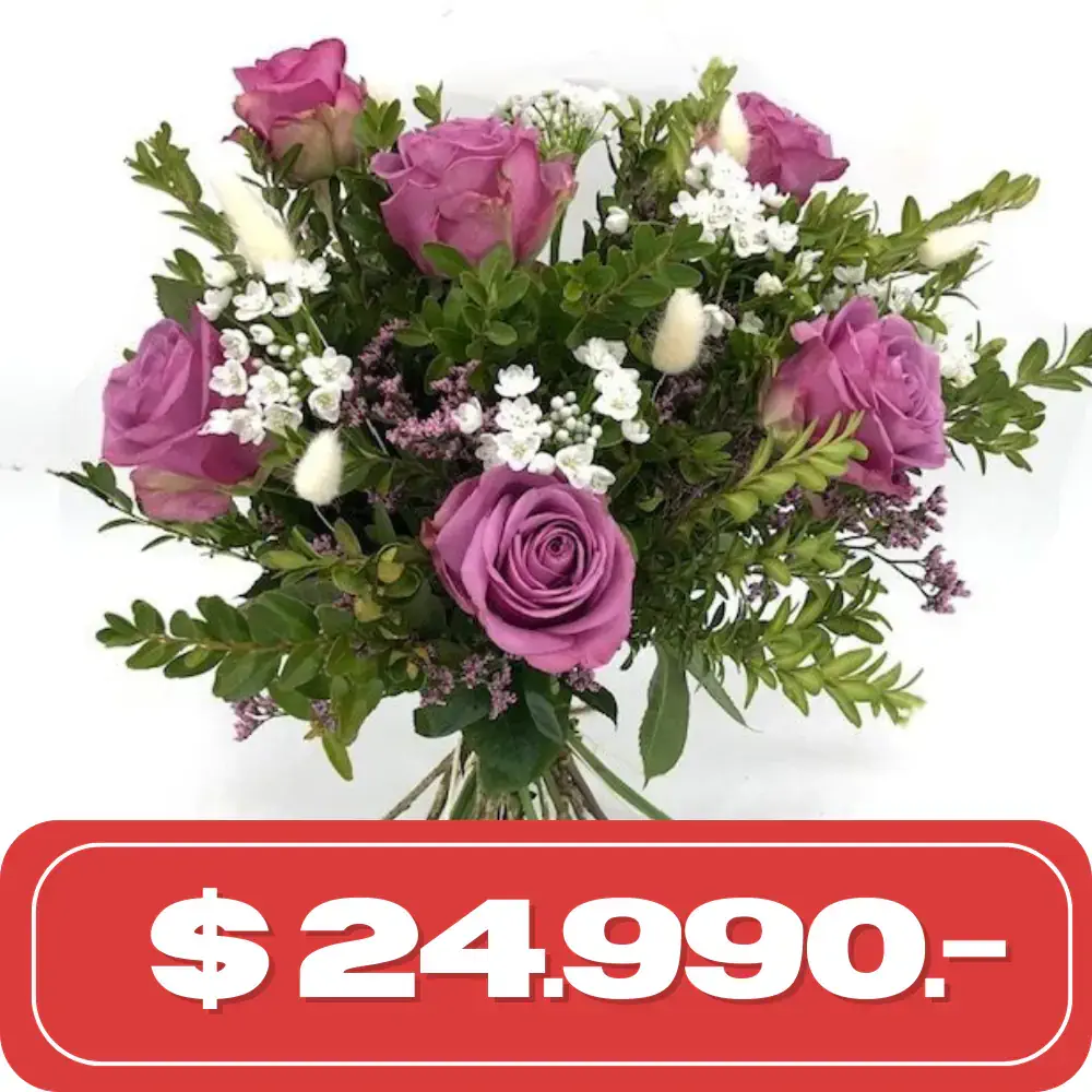 Plan Semanal Ramo de 6 rosas Lilas