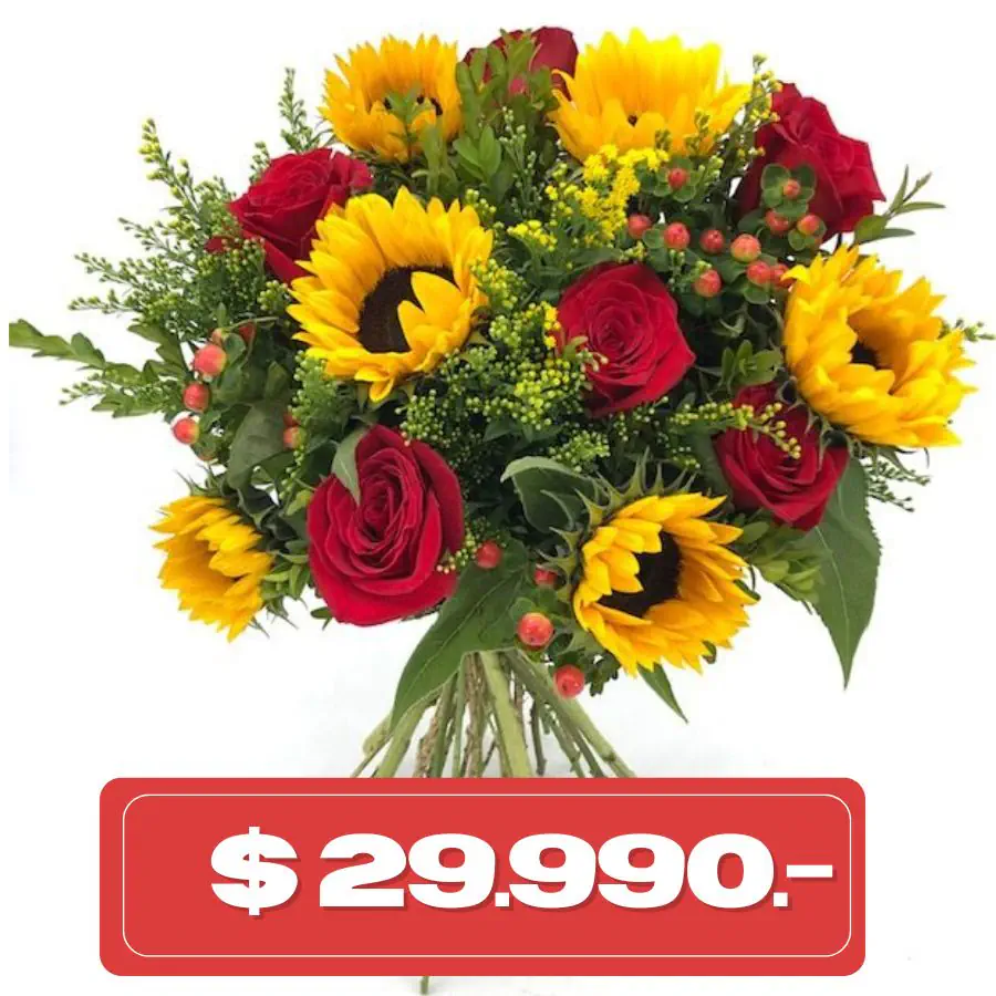 plan_quincenal_girasol rosas hypericum Plan Quincenal Ramo de 6 rosas y 6 girasoles - Imagen 1