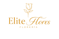 logo_foot